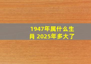 1947年属什么生肖 2025年多大了